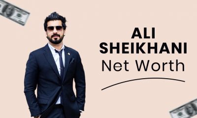 Ali Sheikhani Net Worth