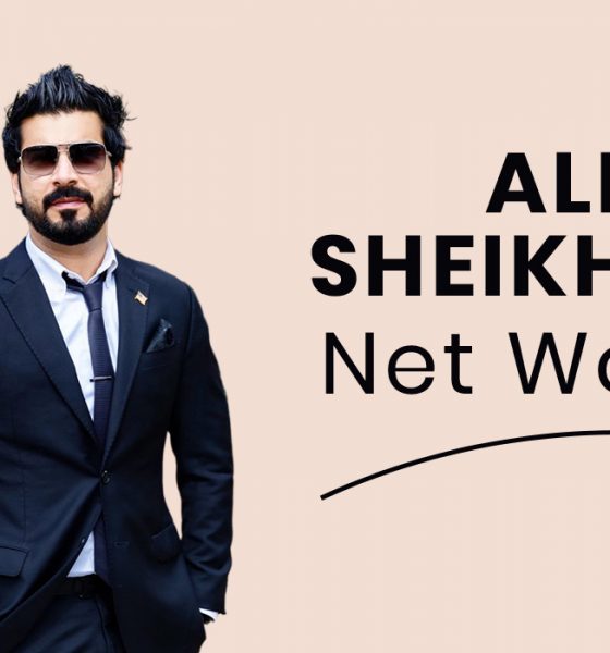 Ali Sheikhani Net Worth