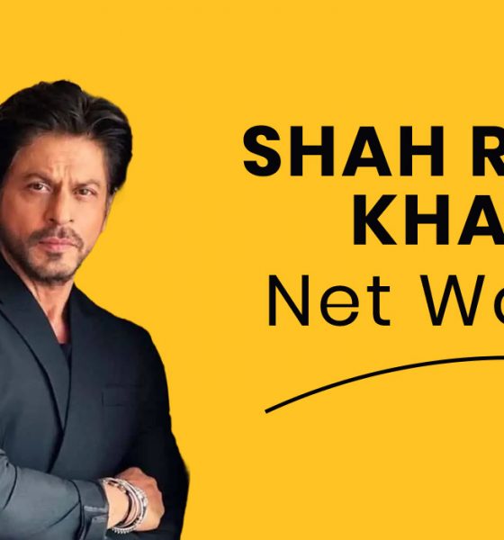 Shah Rukh Khan Net Worth