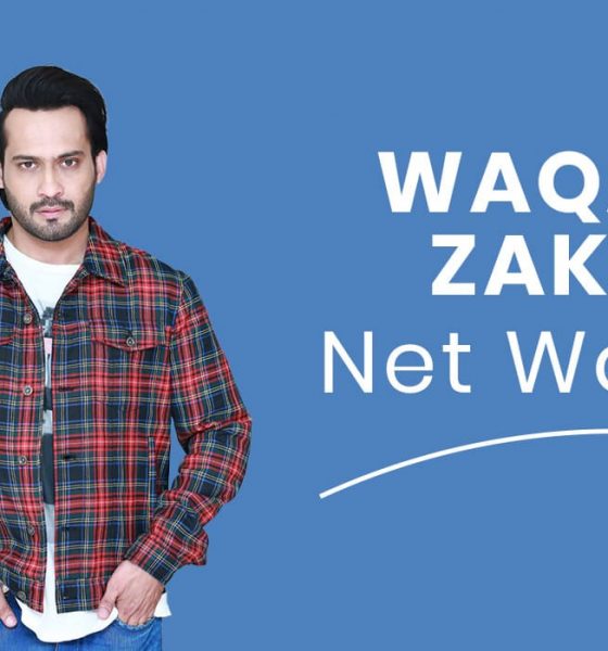 Waqar Zaka Net Worth